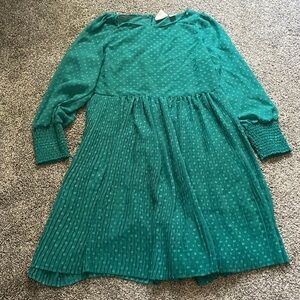Anthropologie Maeve Anthropologie Swiss Dot Long Sleeve Pleated Green Dress